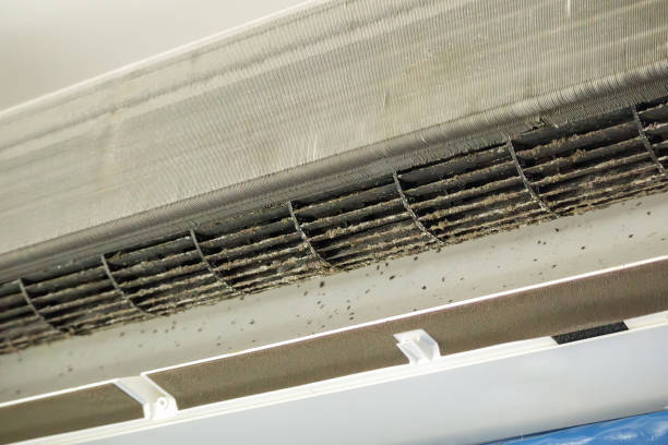Best Best Air Duct Cleaning Company  in Mountain Top, PA
